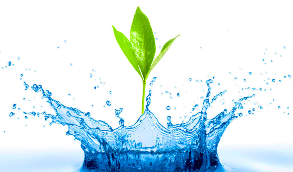 Cuidemos el agua